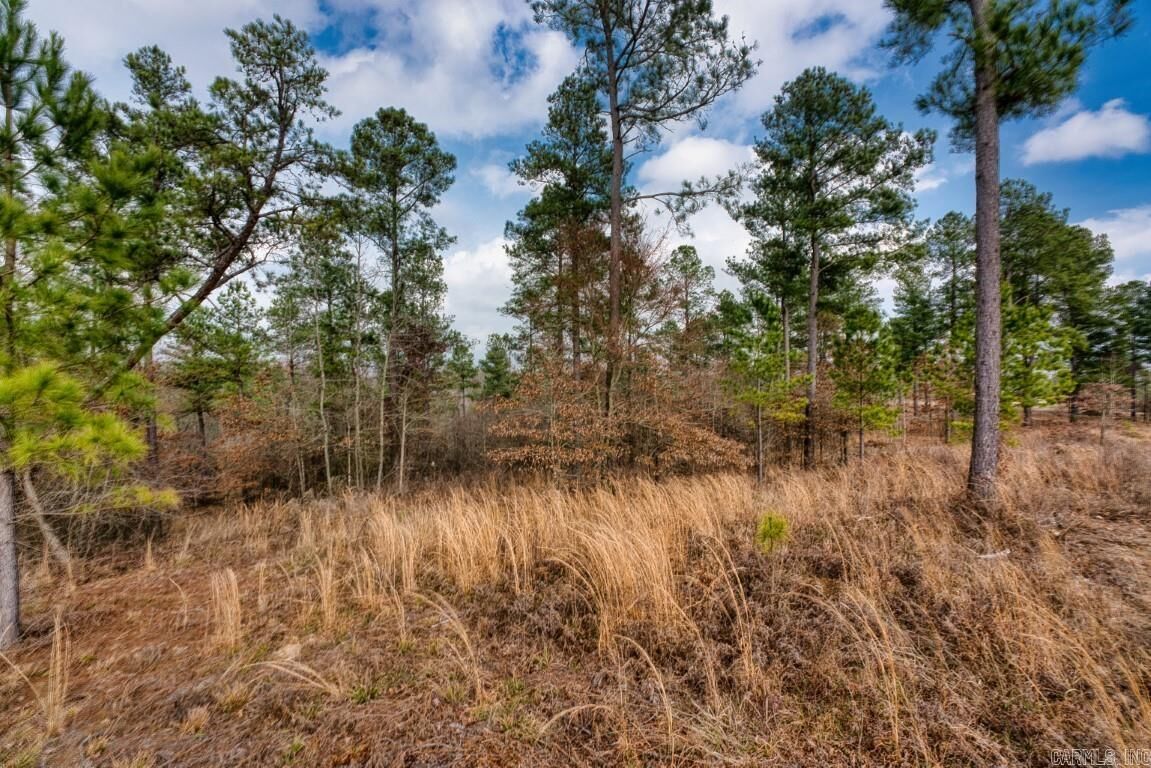 Property Photo: 19 Lookout Lane Lot 11 AR 71950