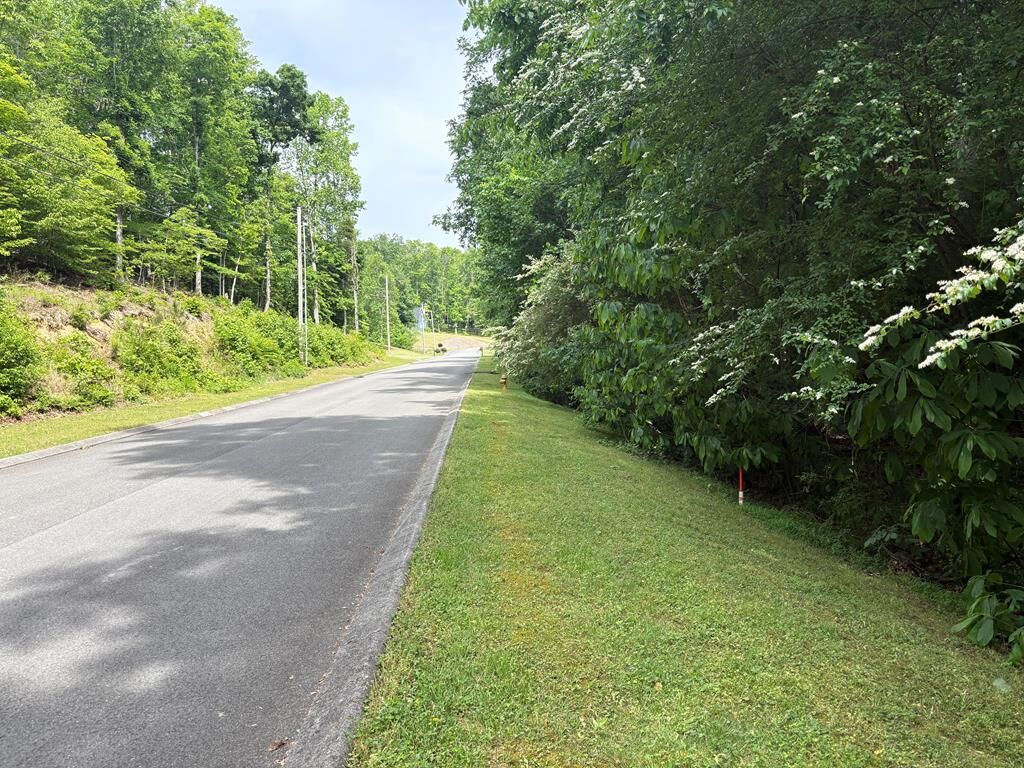 Property Photo:  00 Hidden Lake Road  GA 30721 