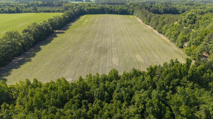 Property Photo:  155-Ac Westberry Drive  SC 29163 