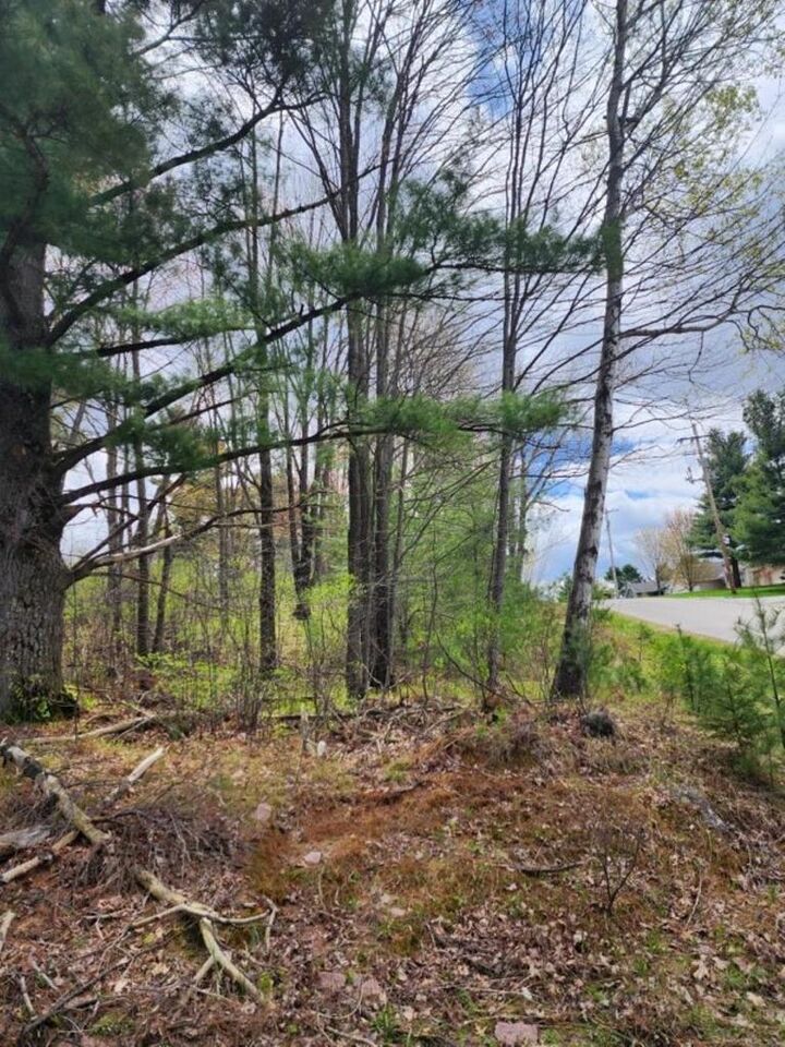 Property Photo:  .34 Acres N 36th Avenue Hilltop Avenue  WI 54401 