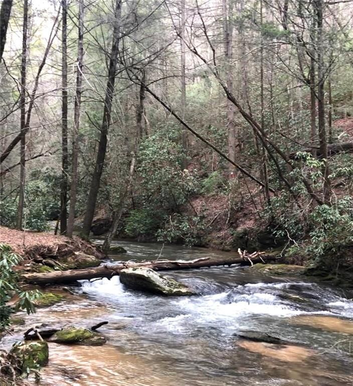 Property Photo: 106 Nimblewill Overlook GA 30533
