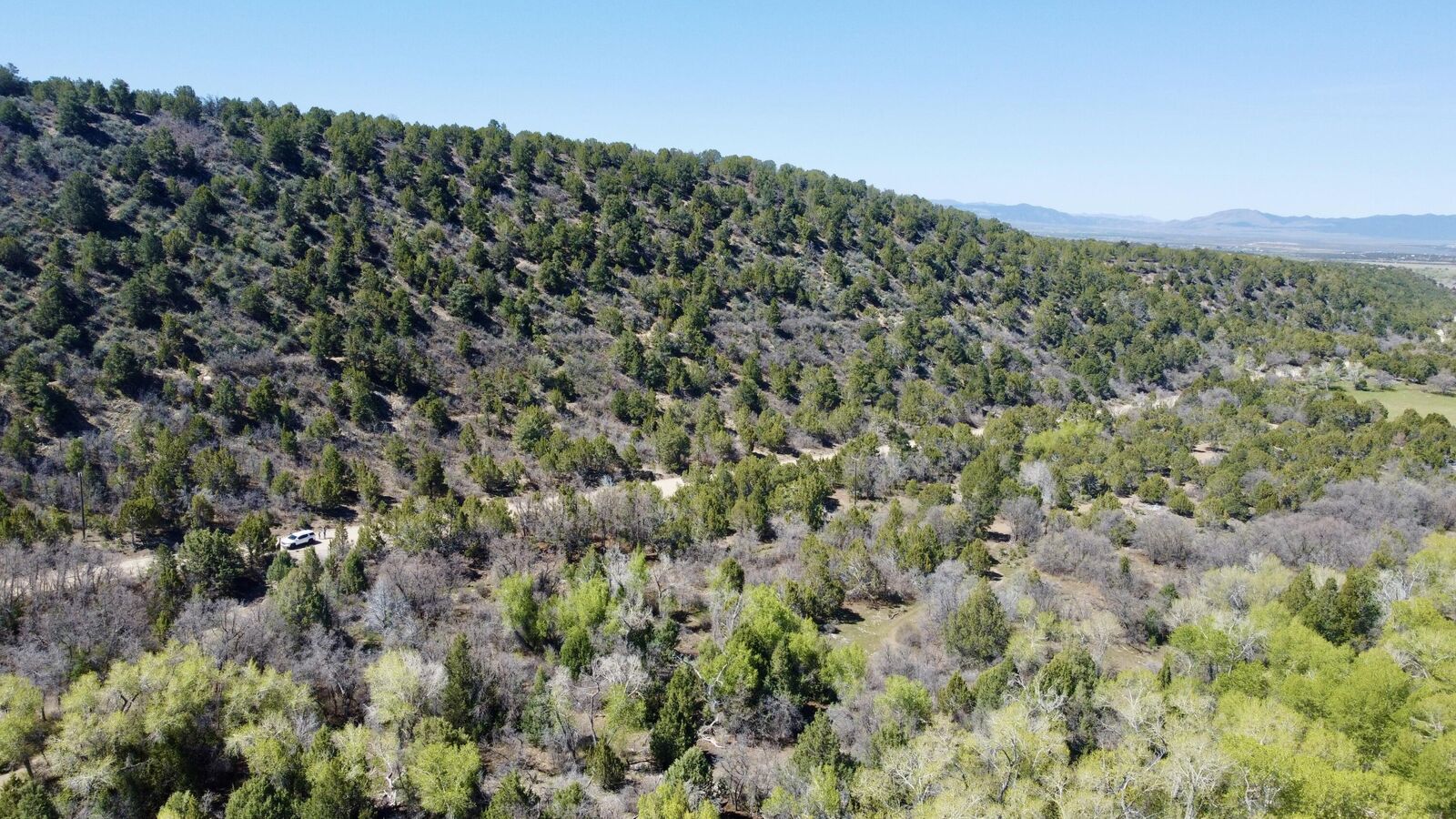 Property Photo:  10+ Acres The South Fork Of North Creek  UT 84713 