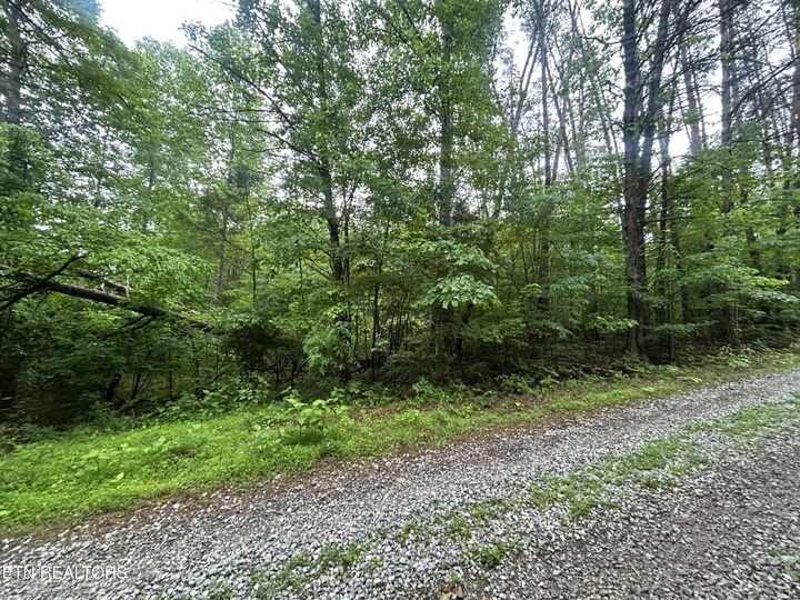 Property Photo:  Lot 105-108 Settlers Rd  TN 37748 