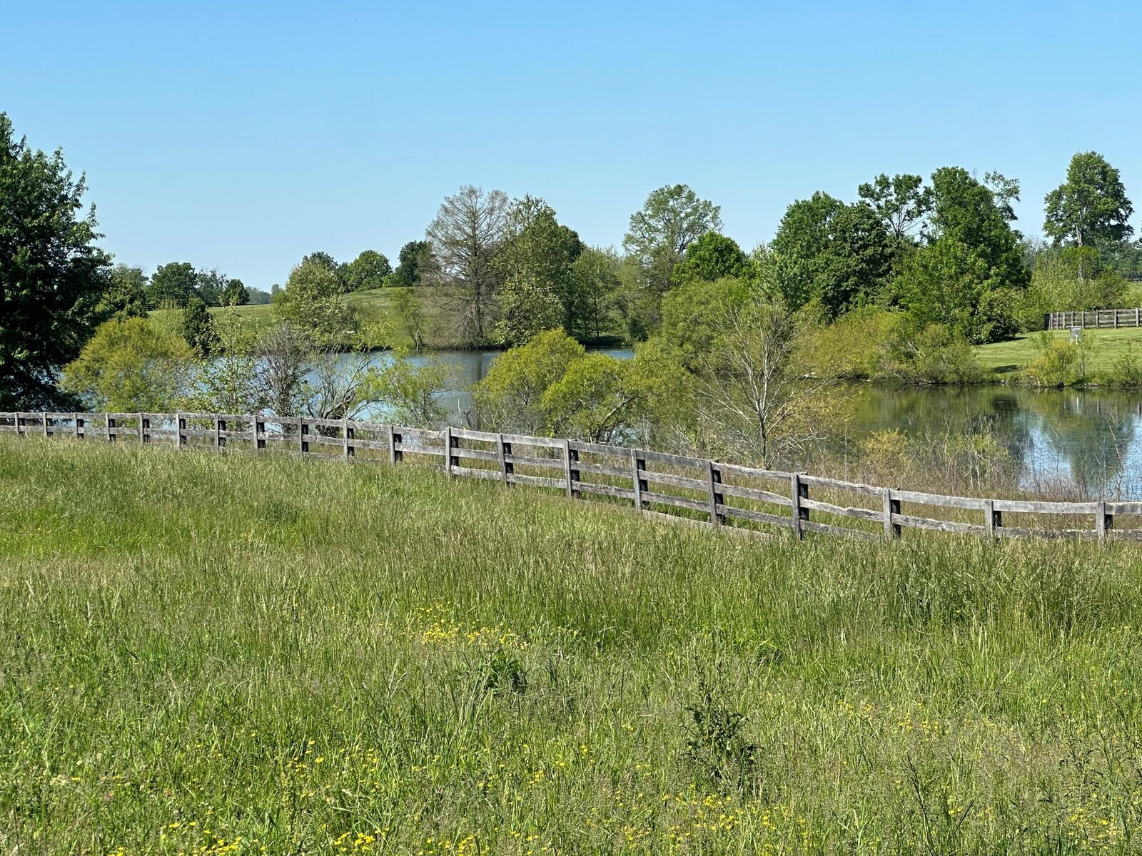 Property Photo: 10 Acres Mt. Horeb Pike KY 40324