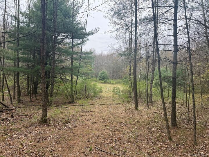 Property Photo:  11 Forest View Drive  NY 12414 