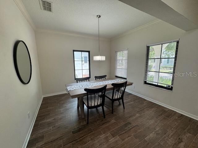 Property Photo:  906 Pawstand Road  FL 34747 