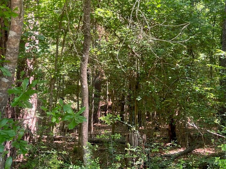 Property Photo:  324 Leisure Lane  TX 75944 