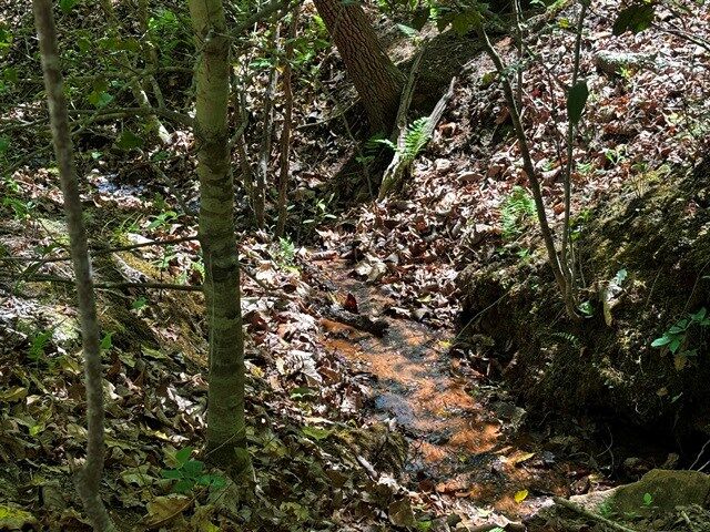 Property Photo:  Lot 43 Edgewood Trail  GA 30512 
