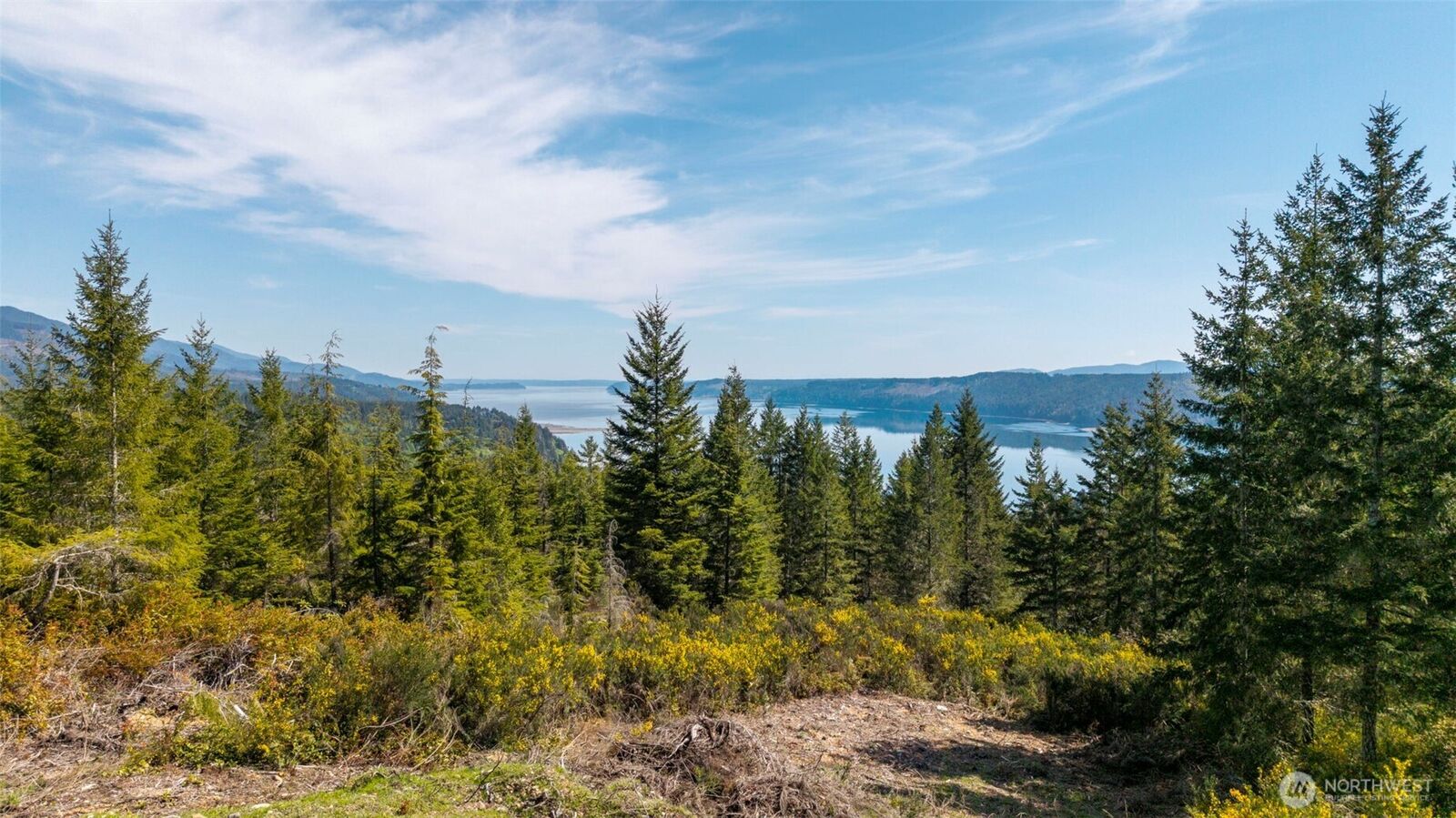 Property Photo:  778899 N Hamma Ridge Drive  WA 98555 