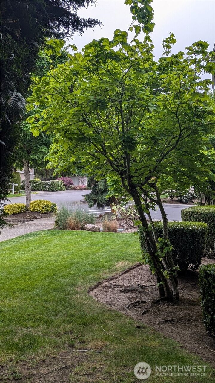 Property Photo:  2733  143rd Street SW D  WA 98087 