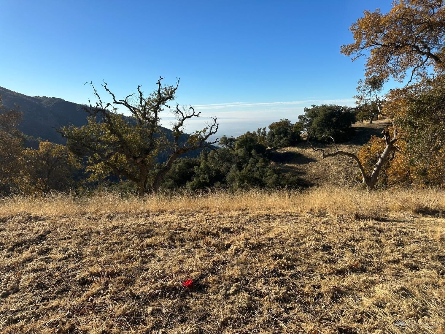 Property Photo:  30310 Rolling Oak Drive  CA 93561 