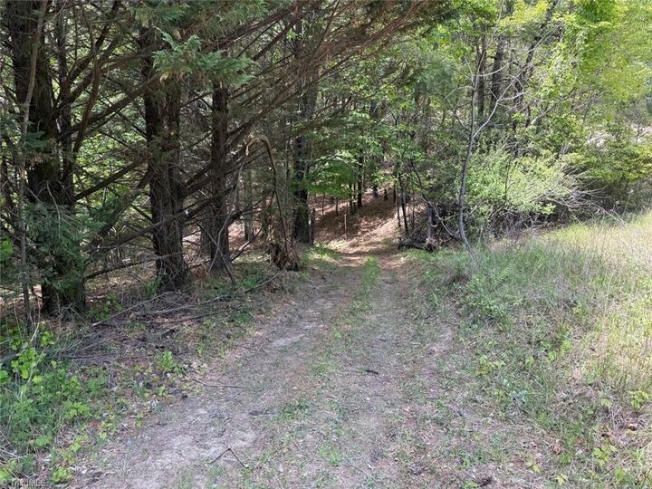 Property Photo:  5797 Sheets Gap Road  NC 28651 