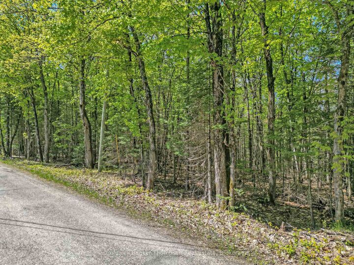 Property Photo:  989 North Waseosa Lake Road  ON P1H 2J4 