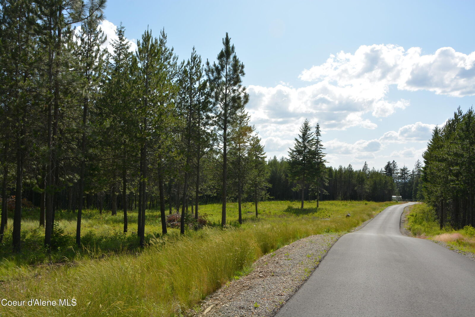 Property Photo:  Nka N Sylvan Rd  ID 83801 