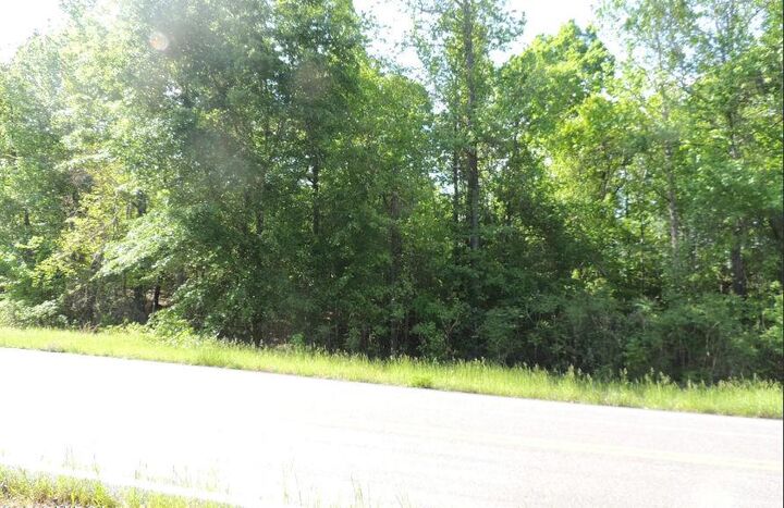 Property Photo:  0 Causey Rd  GA 31050 