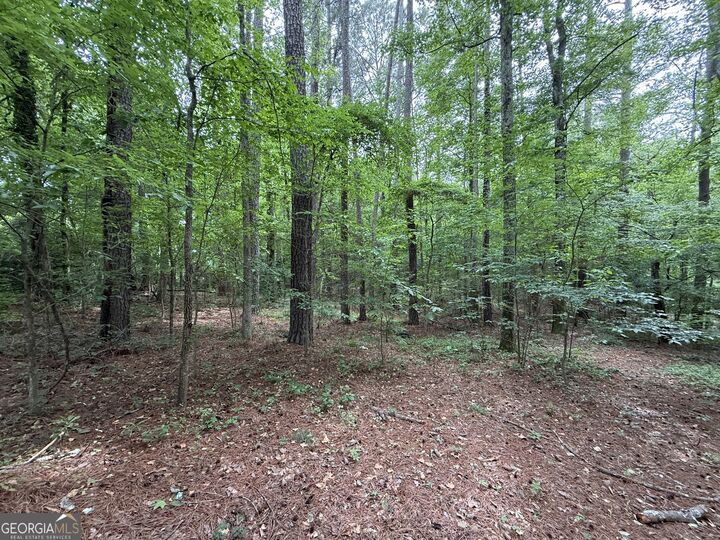 Property Photo:  0 Bollen Road  GA 30165 