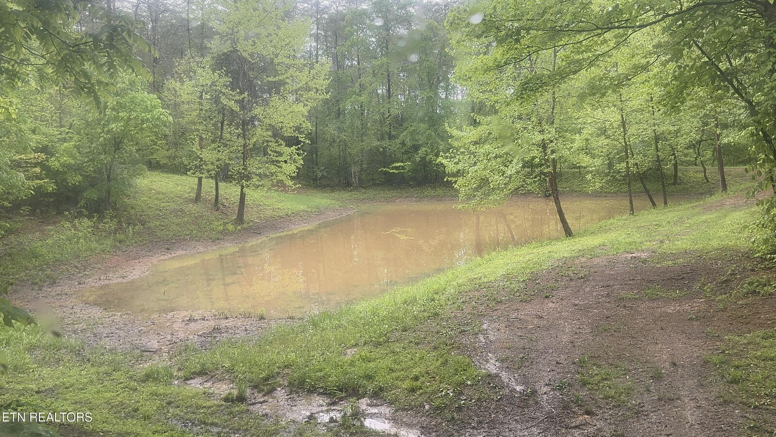 Property Photo:  427 & 439 Thorngrove Pike  TN 37764 