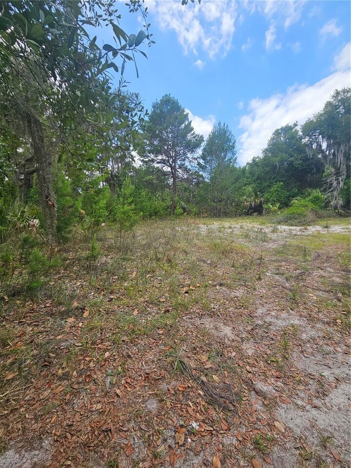 Property Photo:  0 Culver Way  FL 32732 