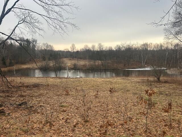 Property Photo: 10300 E 24th Street MI 49677