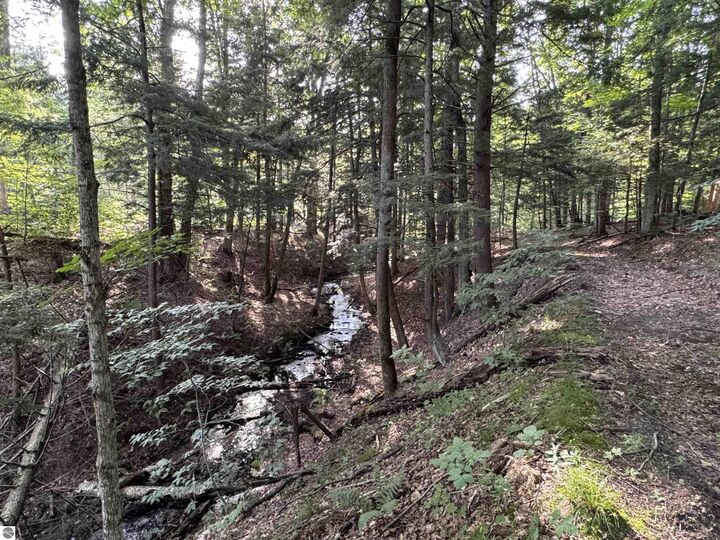 Property Photo:  00 W Beeman Road  MI 49630 