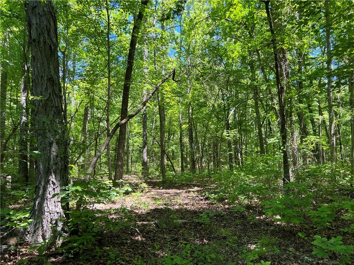 Property Photo:  Terrapin Road  AR 72601 