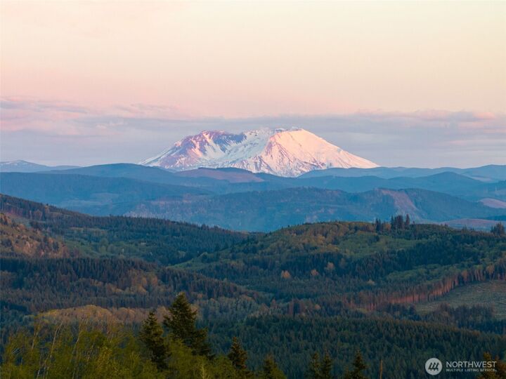 Property Photo:  310  Dream View Lane  WA 98533 