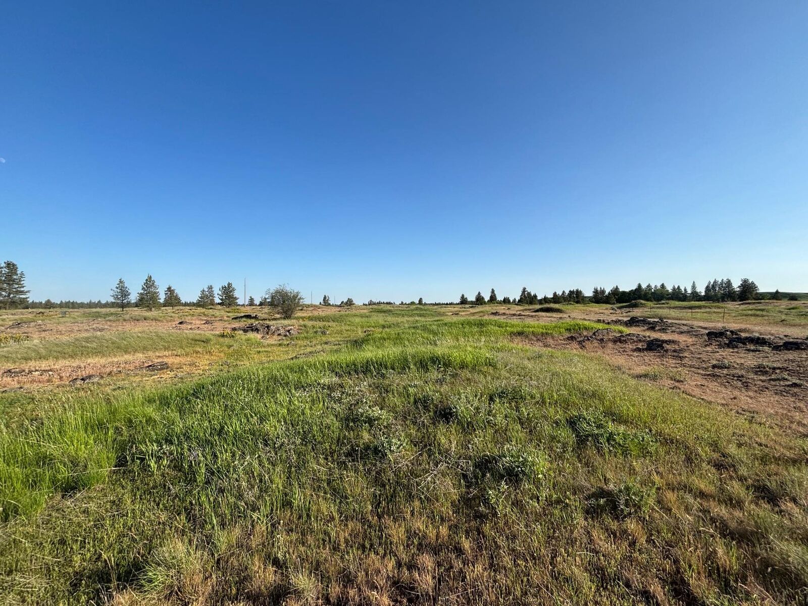 Property Photo:  19456 S Harrison Rd  WA 99008 