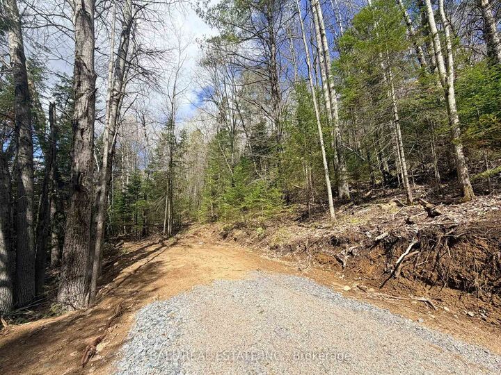 Property Photo:  00 Highway 62 N N/A  ON K0L 1C0 