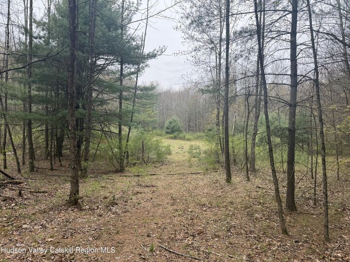 Property Photo: 11 Forest View NY 12414