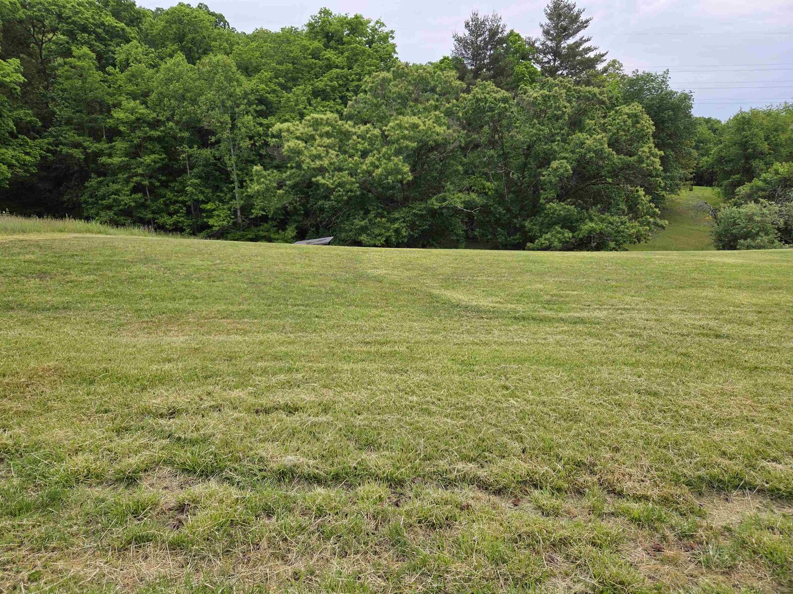 Property Photo:  Meadowbrook Road Lot 9  KY 41102 