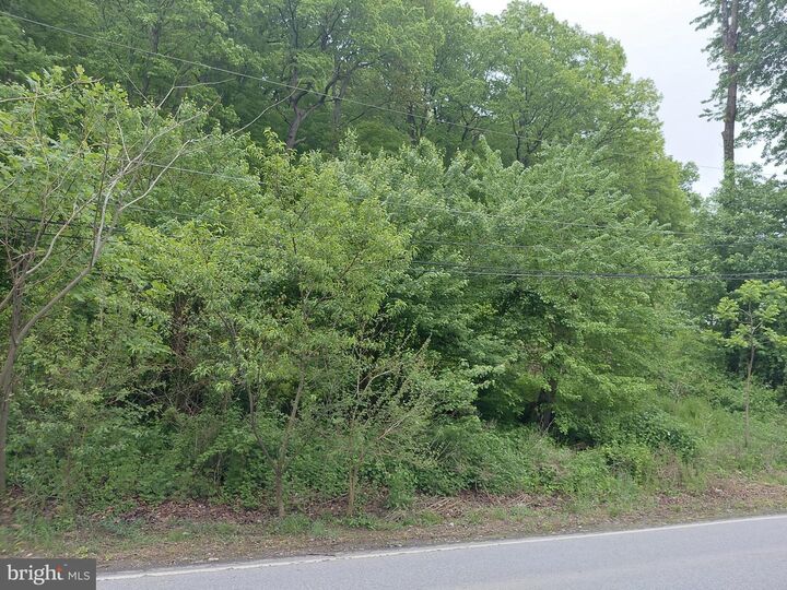 Property Photo:  115 Pennell Road  PA 19063 