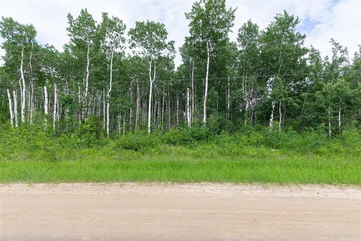 Property Photo: 1 39139 Road 41E Road MB R0A 0W0
