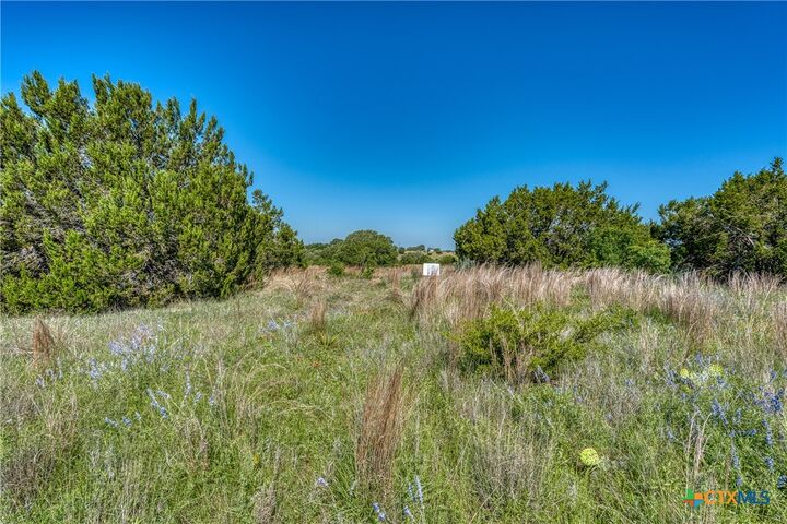 Property Photo:  Lot 16 Sable Pass  TX 76550 