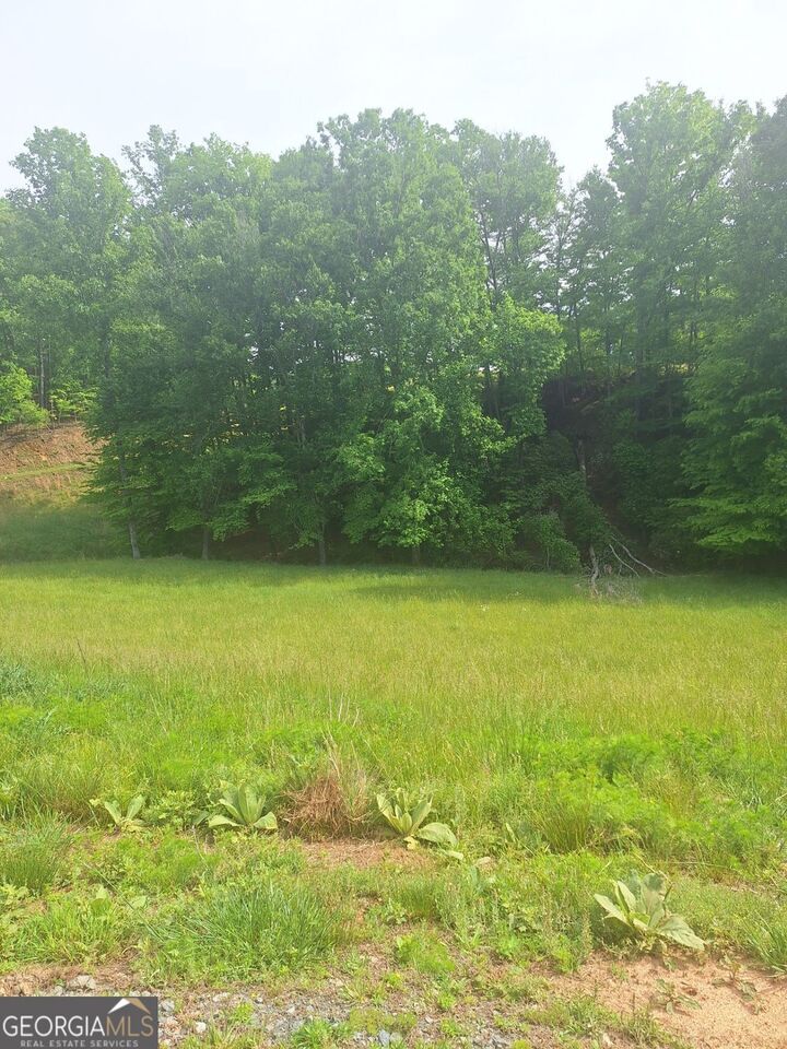 Property Photo:  Lot 67 Hillside Court  GA 30560 