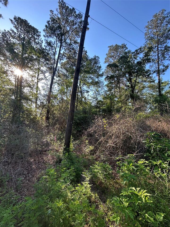 Property Photo: Tbd White Oak Drive TX 77363