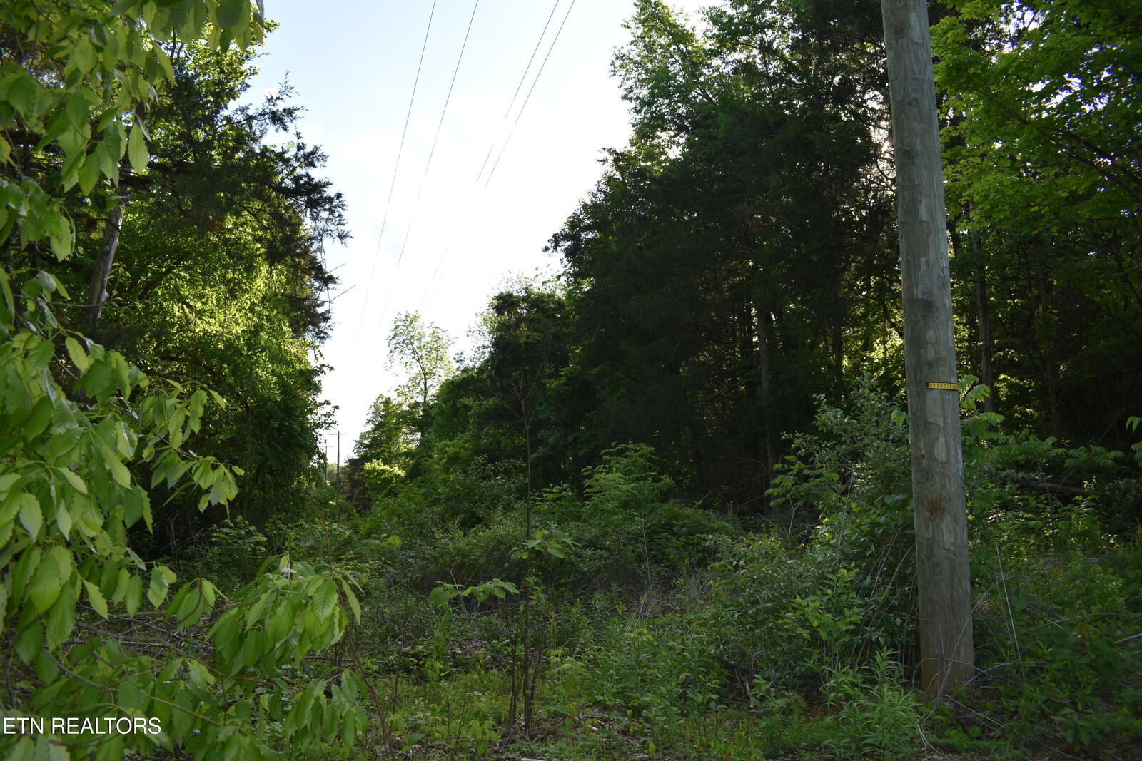 Property Photo:  Scott St  TN 37752 