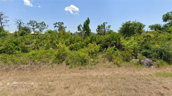 Property Photo:  13465 Boatbill Lane  FL 33981 