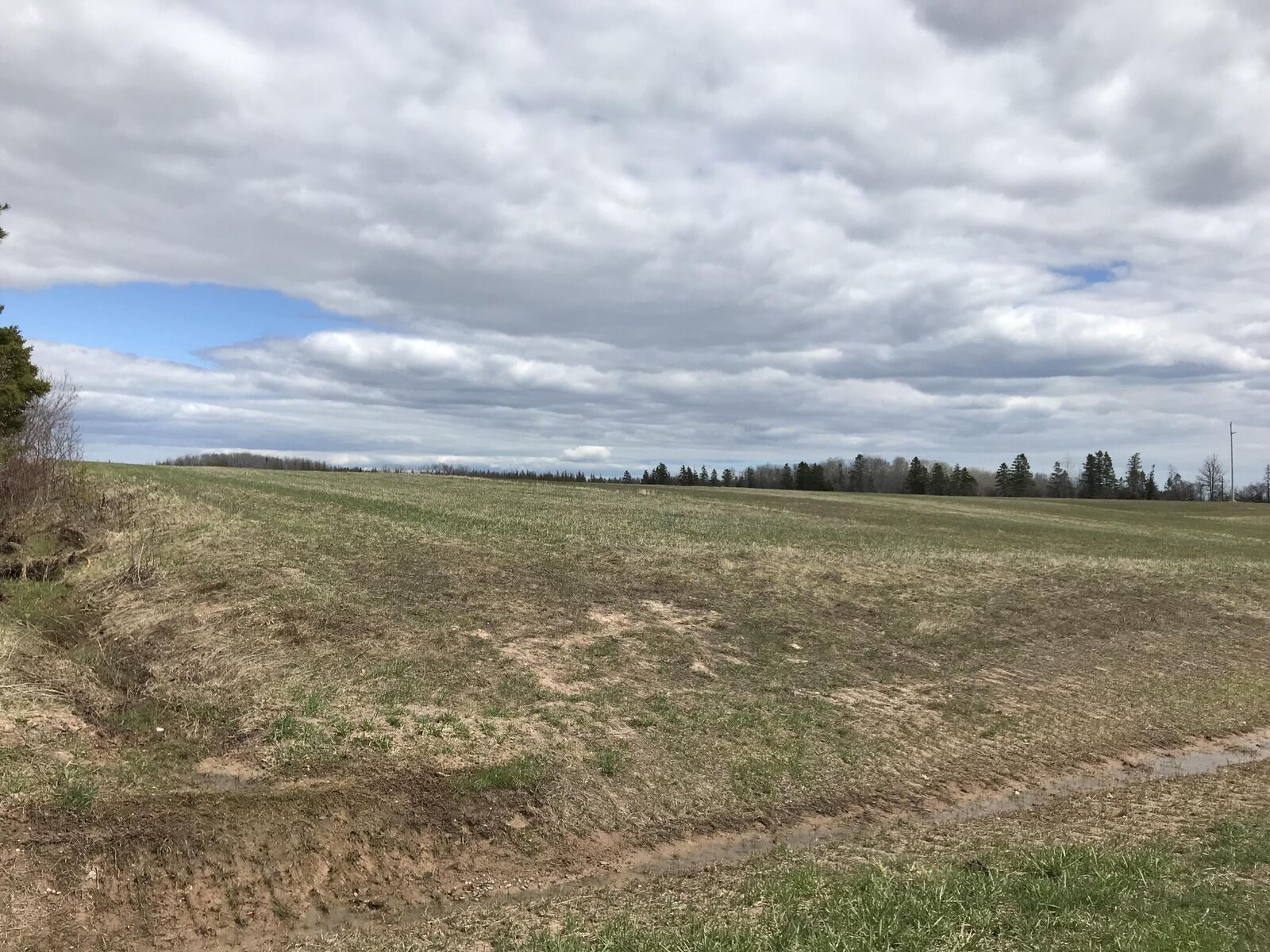 Property Photo:  000 S Clegg Road  MI 49774 