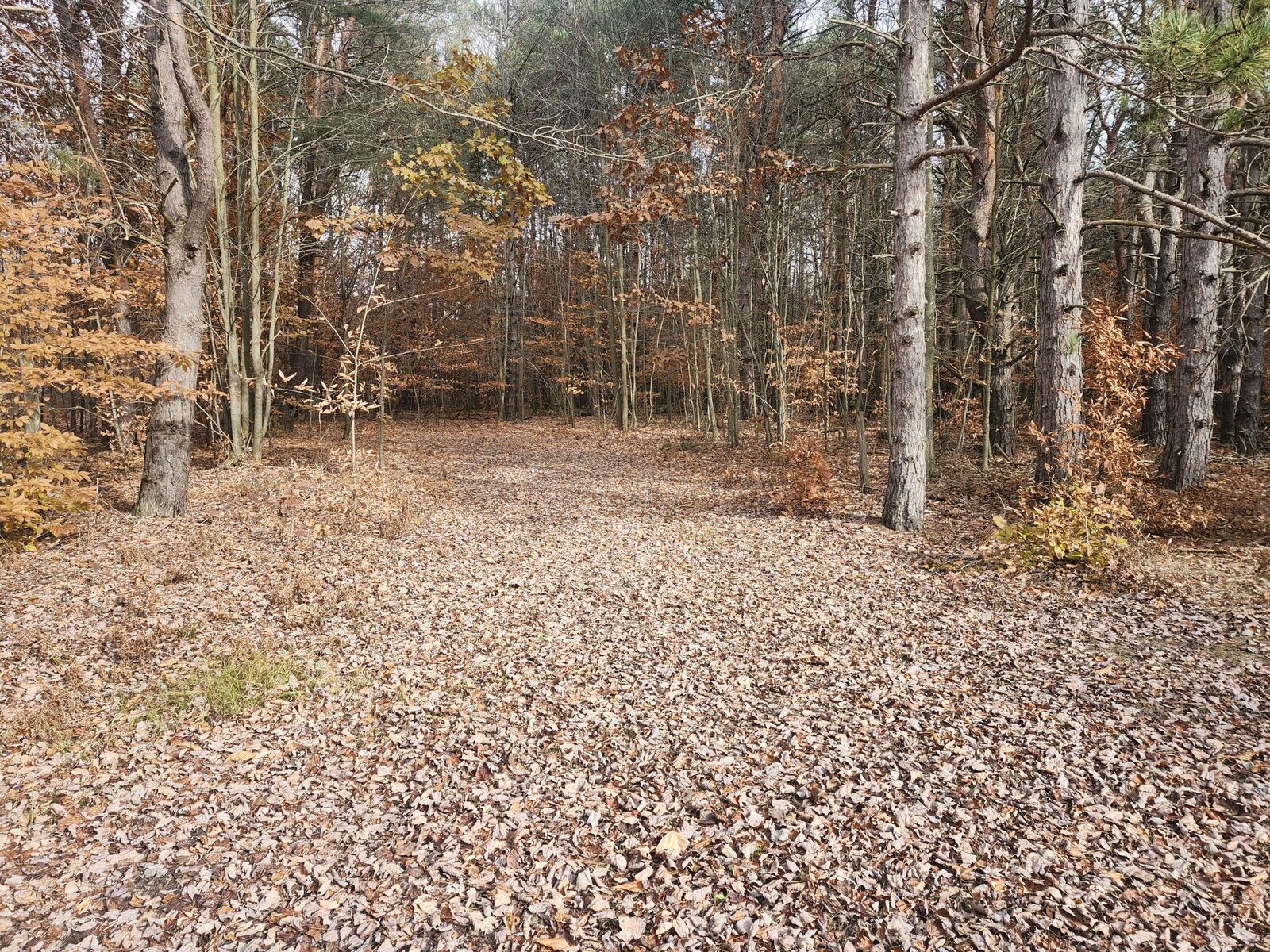 Property Photo: Vl 5 Acres 9 Mile Road MI 49645