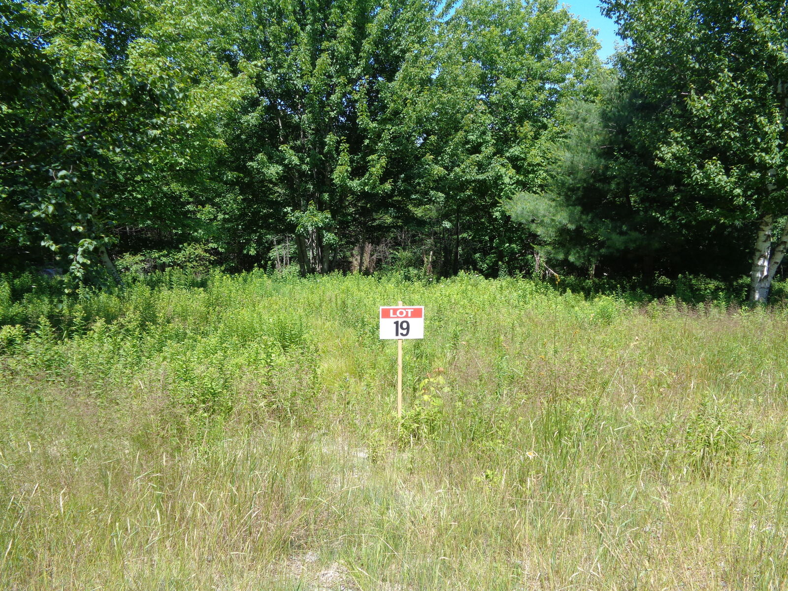 Property Photo: Lot 19 Bailey Mountain Road ME 04634