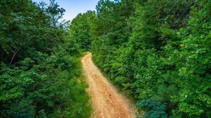 Property Photo:  359 Co Rd 4  TN 37309 
