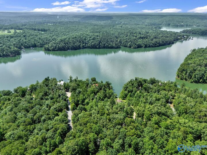 Property Photo:  Lot 6 Whippoorwill Drive  AL 35553 
