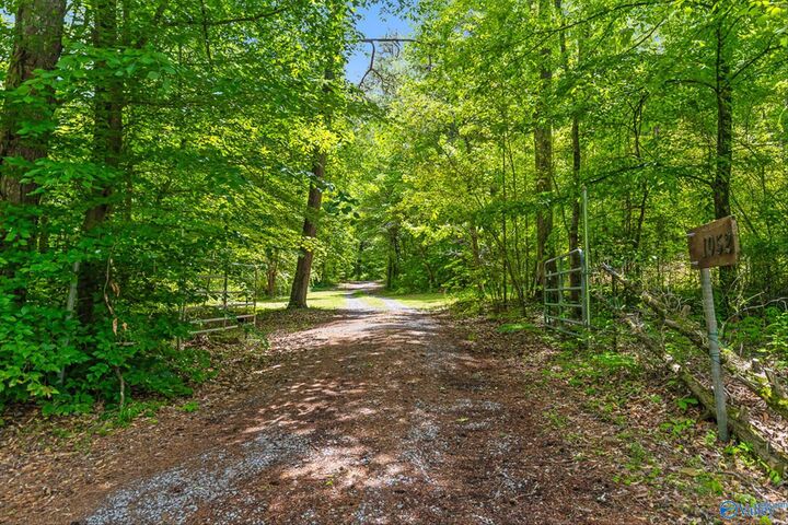 Property Photo:  1052 County Road 332  AL 35765 