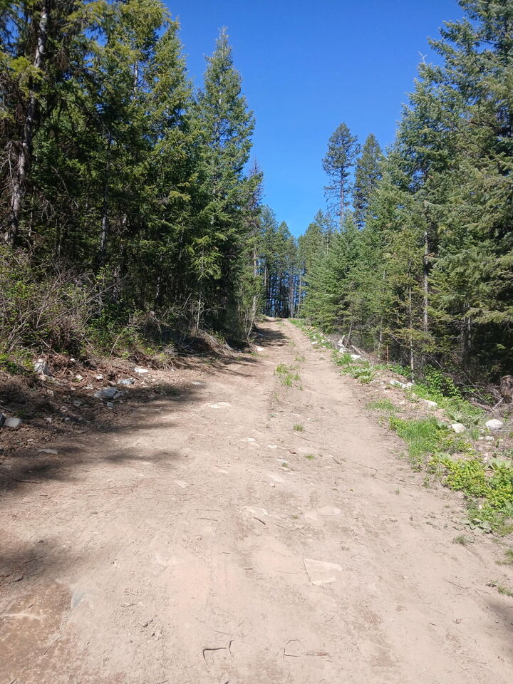 Property Photo: 24X Bardwell Rd WA 99118
