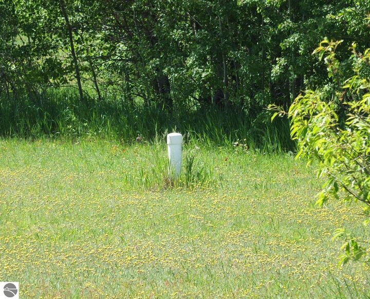 Property Photo: Lot 31 Kingsfield Drive MI 49649