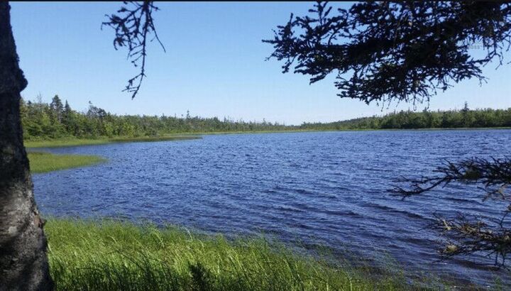 Lot 9 Block K P Seaforth — photo 1
