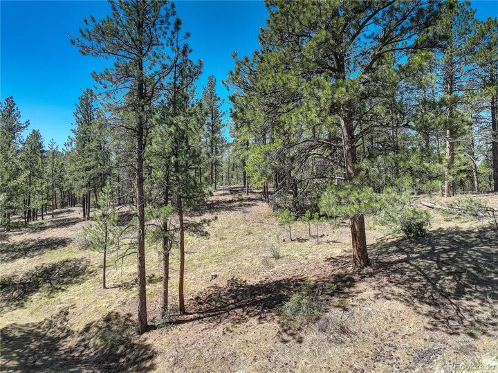 Property Photo:  000 Hayden Ridge Road  CO 80439 