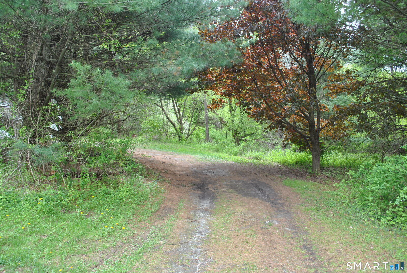 Property Photo:  27 Litchfield Turnpike  CT 06777 