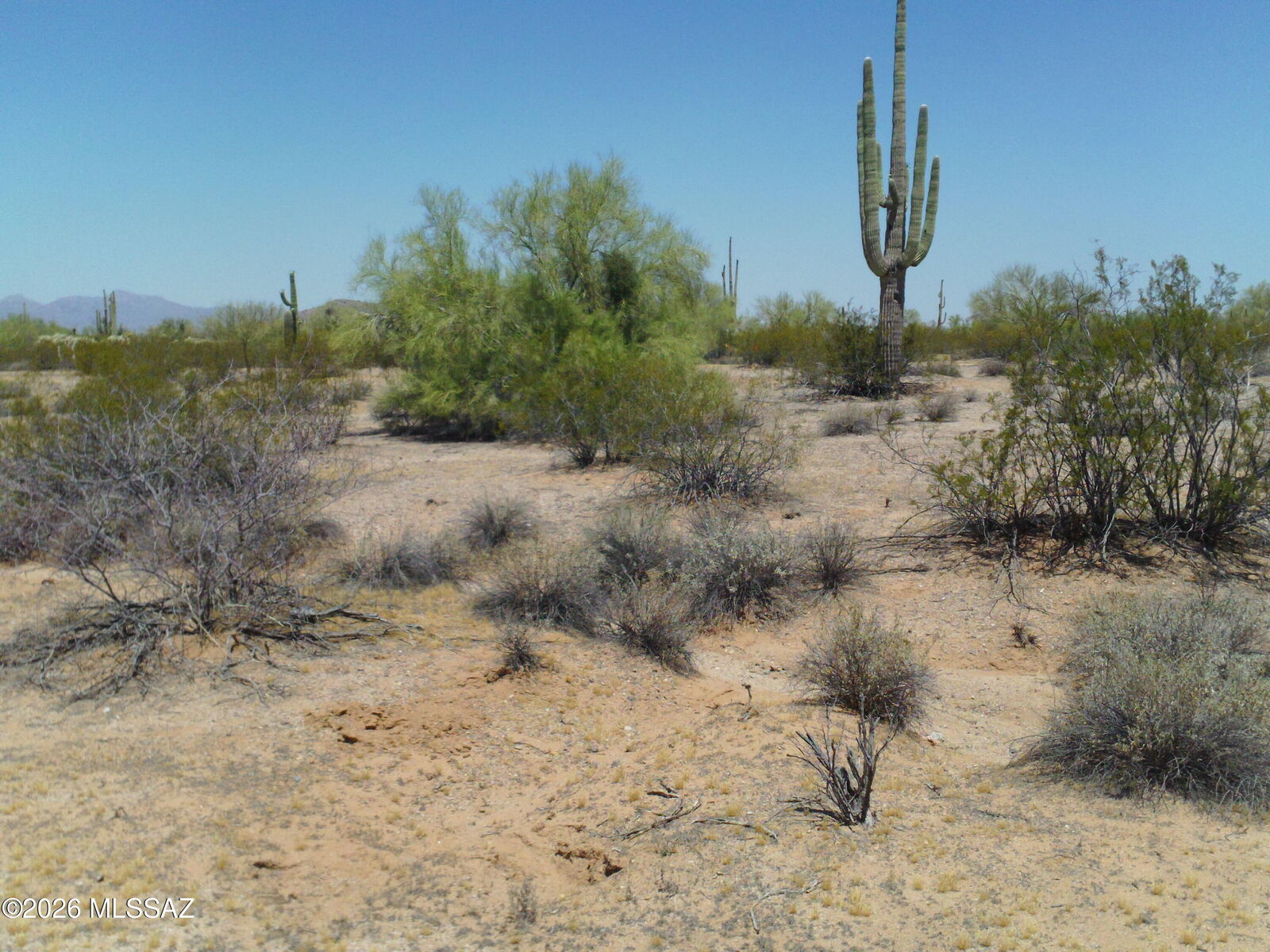 Property Photo:  E Hemlock Drive 15-Ac  AZ 85658 