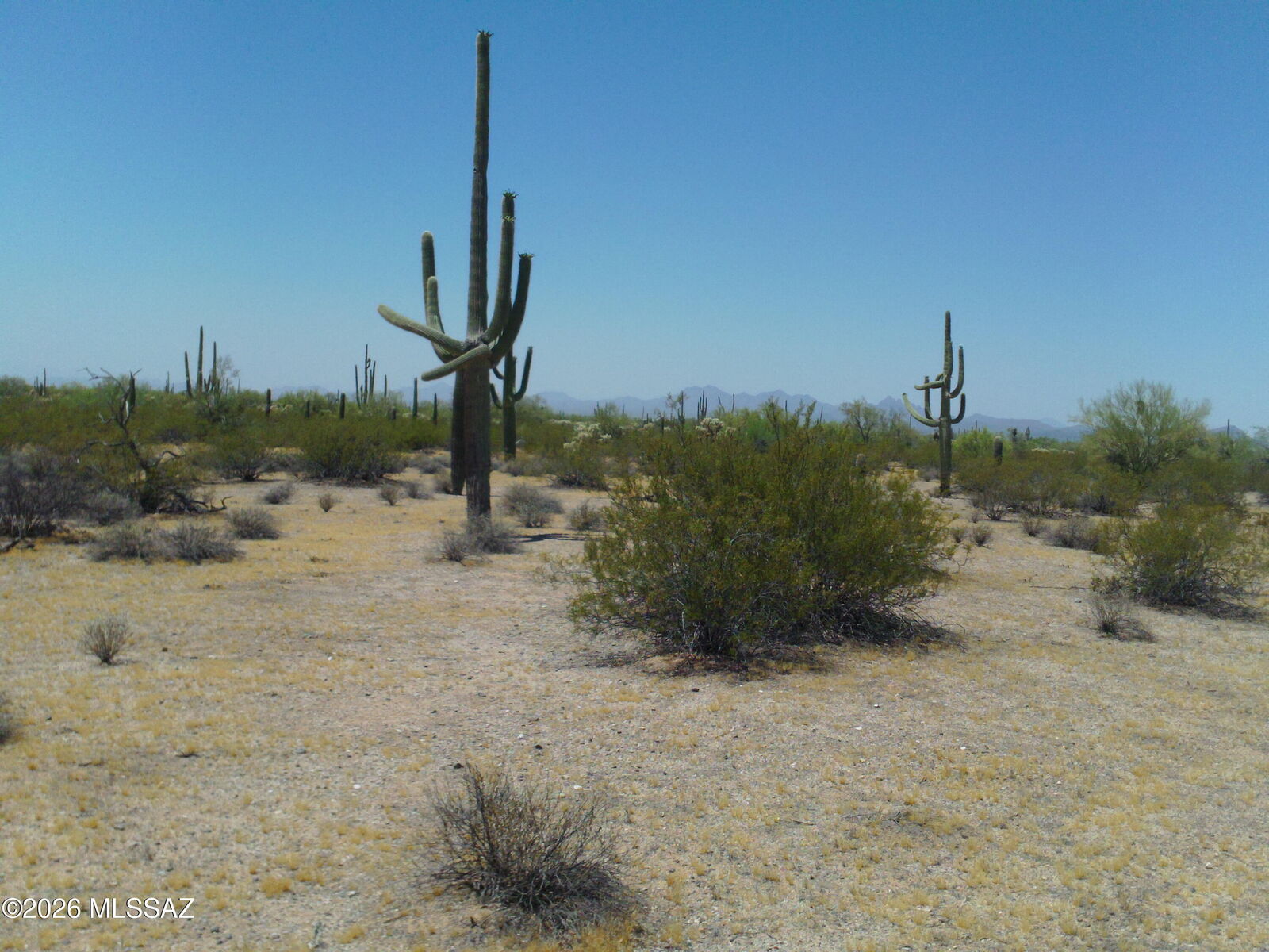 Property Photo:  E Hemlock Drive 15-Ac  AZ 85658 
